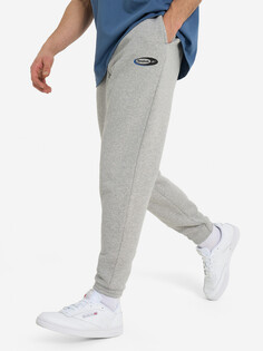 Брюки флисовые мужские Reebok Ri Brand Proud, Серый