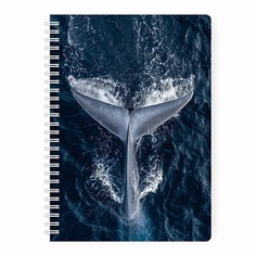 Блокнот REMARKLEE Планер еженедельник "Кит" MyPPlanner А5