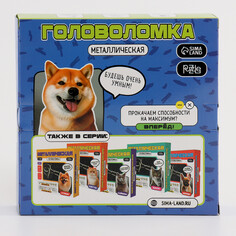 Головоломка металлическая Puzzle