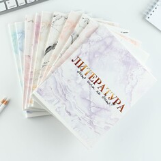 Набор тетрадей 48 листов, 10 предметов со справ. мат. в обечайке Art Fox Study