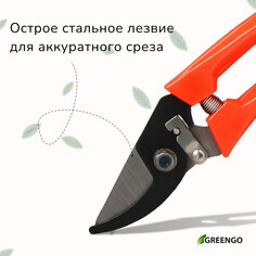 Секатор плоскостной, 7 Greengo