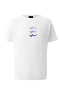 Хлопковая футболка Paul&Shark