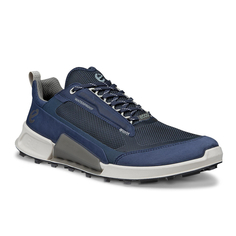 Кроссовки BIOM 2.1 X MOUNTAIN M Ecco