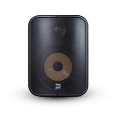 Динамики настенные Bluesound BSP1000 BLK