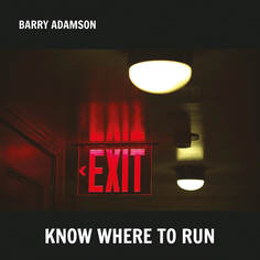 Рок Atlantic Adamson, Barry - Know Where To Run (Silver Vinyl LP)