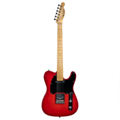 Электрогитары Prodipe JMFTC90ALDERTRD