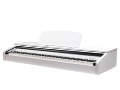 Цифровые пианино Medeli DP250RB-GW