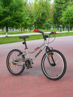 Велосипед подростковый Roces Amico 20", Серый