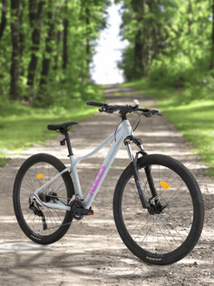 Велосипед горный женский Roces Eleganza 2 27.5", Серый