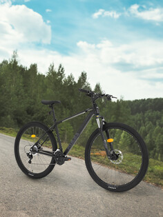 Велосипед горный Roces Ritmo 29", Черный