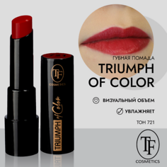 Помада для губ TF Губная помада TRIUMPH of Color CZ21