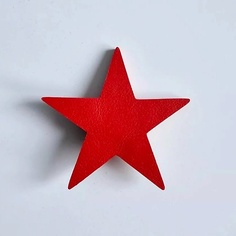 XENIA DUKOVA Брошь звезда