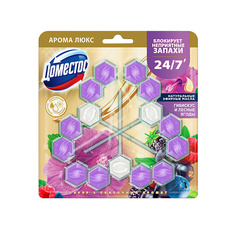 Подвесной блок для унитаза DOMESTOS Блок для очищения унитаза POWER 5+ СКАЗОЧНЫЙ АРОМАТ Трио