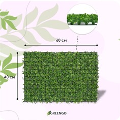 Декоративная панель, 60 × 40 см, Greengo