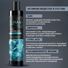 Шампунь мужской 2в1, 300 мл, аромат мяты, ural lab