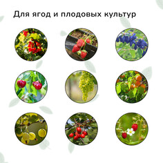 Сетка садовая, мягкая, 10 × 2 м, ячейка 15 × 15 мм, от птиц, greengo