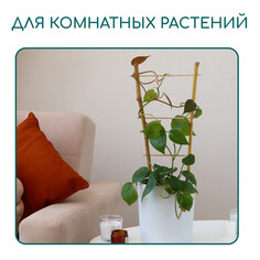 Шпалера, 60 × 20 × 1 см, бамбук, Greengo