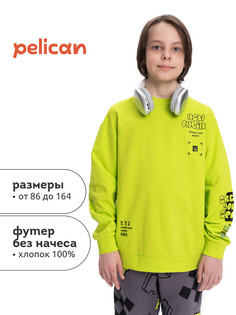 Толстовка Pelican