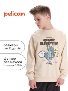 Толстовка Pelican