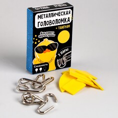 Металлическая головоломка Puzzle