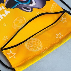 Мешок для обуви Art Fox Study