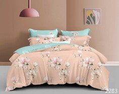 Постельное белье 2,0 спальный с Евро простыней Afina