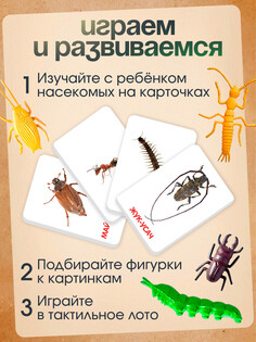 Развивающий набор с карточками Iq Zabiaka