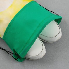 Мешок для обуви Art Fox Study