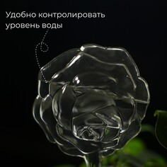 Автополив для комнатных растений, пвх, 140 мл, Greengo