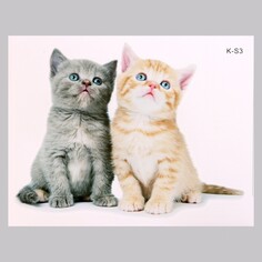 Наклейка 3д интерьерная котики 29*21см Take IT Easy