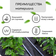 Материал мульчирующий, с перфорацией, 5 × 1,6 м, плотность 80 г/м², спанбонд с уф-стабилизатором, черный, greengo, эконом 30%