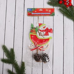 Ёлочная игрушка Зимнее волшебство