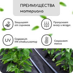 Материал мульчирующий, с перфорацией (4 ряда), 20 × 1,6 м, плотность 80 г/м², спанбонд с уф-стабилизатором, черный, greengo, эконом 30%