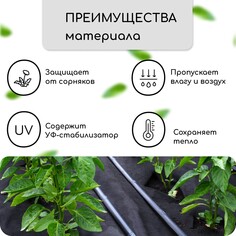 Материал мульчирующий, с перфорацией, 5 × 1,6 м, плотность 80 г/м², спанбонд с уф-стабилизатором, черный, greengo, эконом 30%