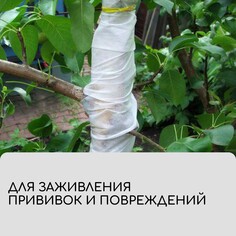 Лента для подвязки растений, 10 × 0,02 м, плотность 60 г/м², набор 2 шт., спанбонд с уф-стабилизатором, белая, greengo, эконом 20%