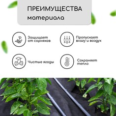 Материал мульчирующий, 5 × 1,6 м, плотность 80 г/м², спанбонд с уф-стабилизатором, черный, greengo, эконом 30%