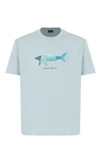 Хлопковая футболка Paul&Shark