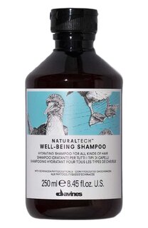Увлажняющий шампунь для всех типов волос Well Being (250ml) Davines