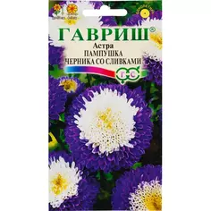 Астра «Пампушка Черника со сливками», 0.3 г Гавриш