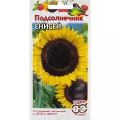 Семена Подсолнечник «Енисей» 10 г Гавриш