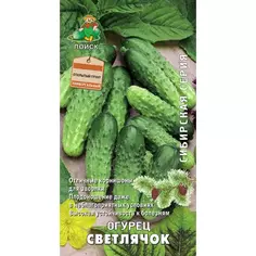 Семена Огурец «Светлячок» ПОИСК