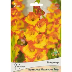 Гладиолус крупноцветковый Принцесс Маргарет Роуз 3 шт. ПОИСК