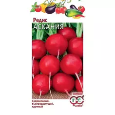 Семена Редис Аскания Гавриш