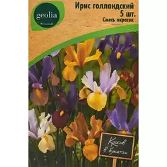 Ирис Geolia голландский смесь окрасок 5 шт