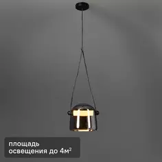 Светильник подвесной светодиодный Aurum FR5471PL-L12B 4 м² цвет серебристо-черный Freya