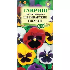 Семена цветов Гавриш виола Швейцарские гиганты