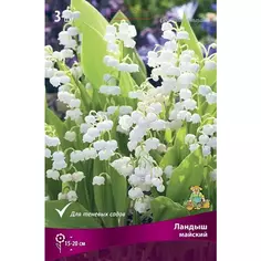 Ландыш Майский 3 шт. ПОИСК