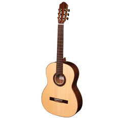 Классические гитары Hora SM601