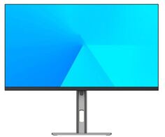 Монитор 23,8" Lime R238A 1920x1080, IPS, 250cd, 1000:1, 4 ms, 178°/178°, VGA, HDMI, 100Hz, DP, Audio out, DC, MM, Pivot, Flat, Black-Gray