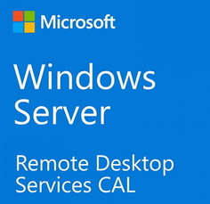 ПО (комплект) ОЕМ Microsoft Win Rmt Dsktp Svcs CAL 2022 English OEM 5 User CAL